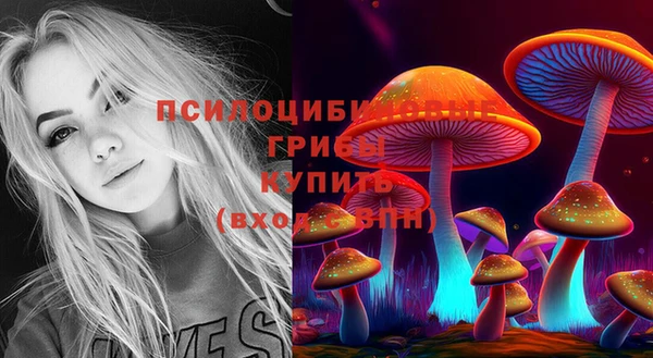 каннабис Верея