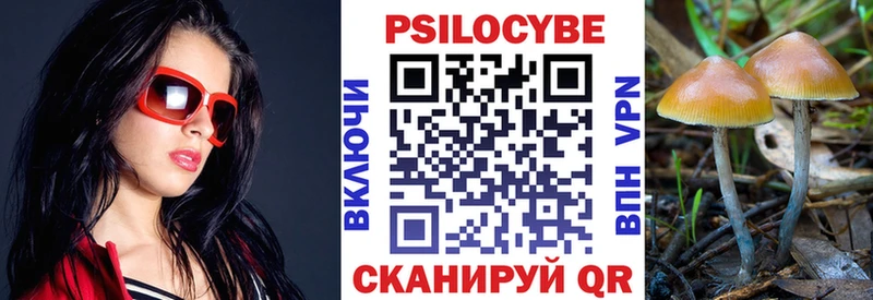 Псилоцибиновые грибы Psilocybine cubensis  Каргат 